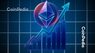 Ethzilla