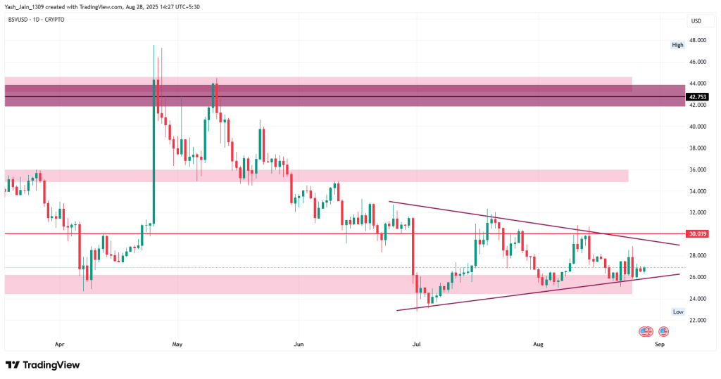 Bitcoin SV Price Overview