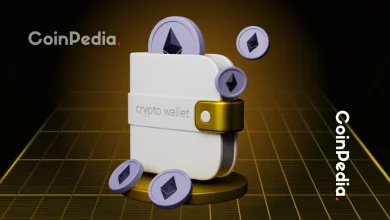 Top 4 Wallets Improving UX Through Privacy and Cross-Chain Support