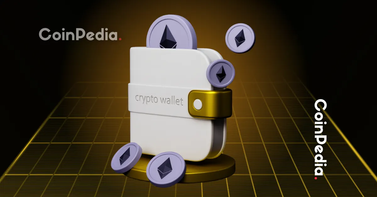 Top 4 Wallets Improving UX Through Privacy and Cross-Chain Support