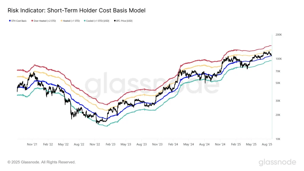 BTC risk indicator glassnode