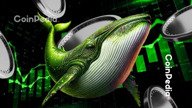 Top 3 Altcoins Whales Are Stacking Right Now