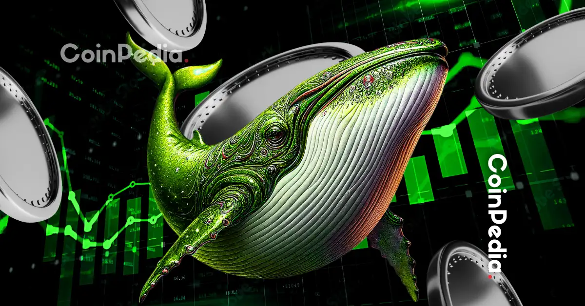 Top 3 Altcoins Whales Are Stacking Right Now