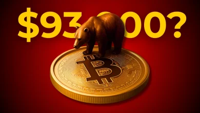Bitcoin Price Holds at $111k, Are the Bears Eyeing at $93k?