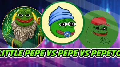 littlepepe-pepe-pepeto