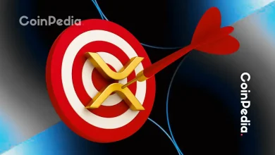 XRP Targets $3.12 as XLM Eyes $0.38 – Everything You Need to Know!