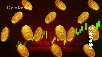 Ripple Custody Targets $16T Tokenization Market With Institutional-Grade Security