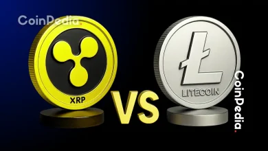 Ripple CTO Claps Back at Litecoin Influencer in Viral XRP vs. LTC Debate