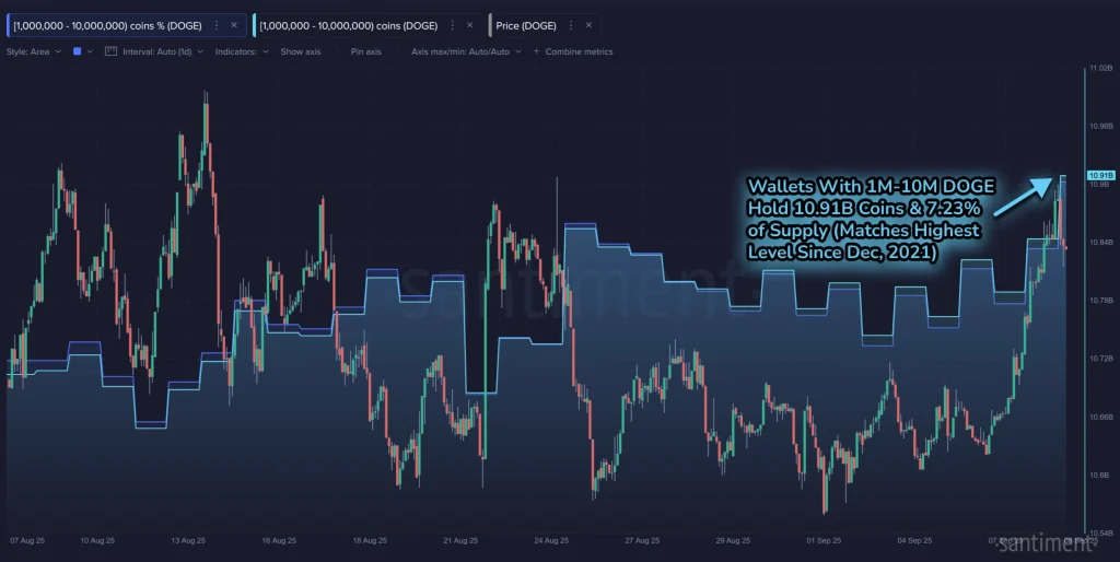 Doge token count 9-9-25