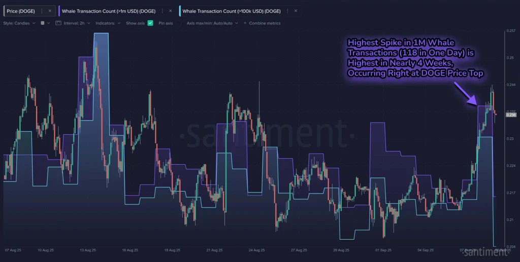 DOGE Whale Count 9-9-25