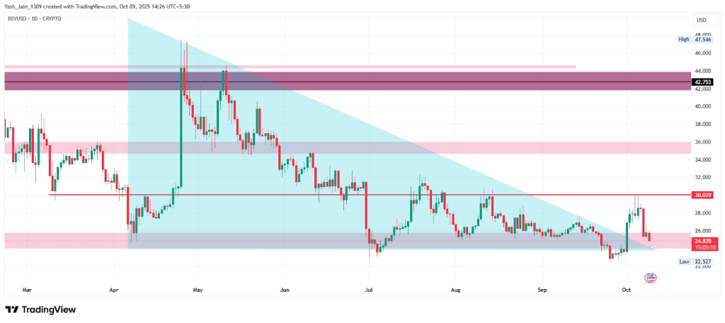 Bitcoin SV Price Chart
