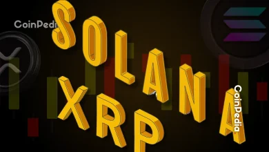 Solana And XRP Price Prediction And Analysis By Gareth Soloway