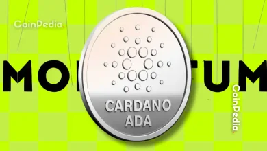 Where Did Cardano Lose Its Momentum Hoskinson Breaks It Down