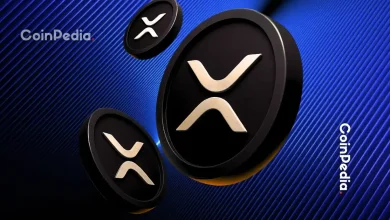 Ripple News Four to Five Billion XRP on Binance While South Korea Emerges as Top Holder
