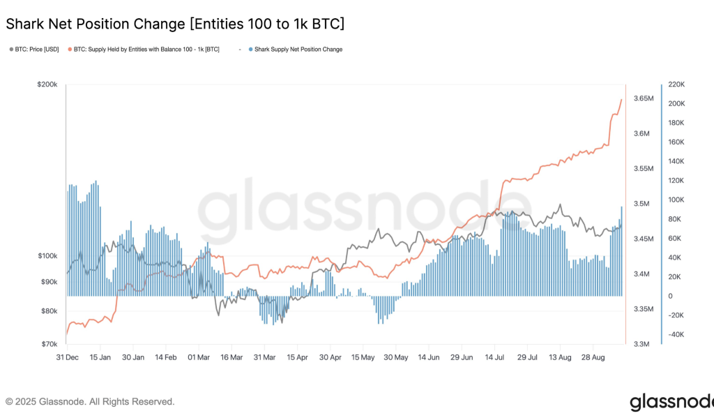 btc price