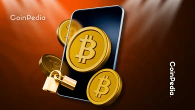 Bitcoin News Today Dennis Potter Defends Bitcoin’s Low Fees Amid Security Concerns