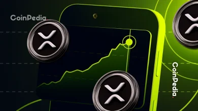 List of Top Companies Adding XRP to Their Balance Sheets in 2025 on the Rise