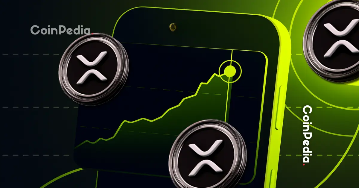 List of Top Companies Adding XRP to Their Balance Sheets in 2025 on the Rise