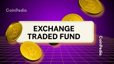 Daily ETF Flow Report (September 11) Bitcoin ETFs Hit $552 Million, Ethereum Continues Day Streak