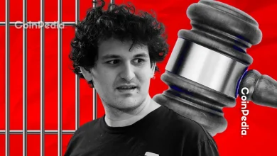 FTX Founder Sam Bankman-Fried Faces Appeal on November 4