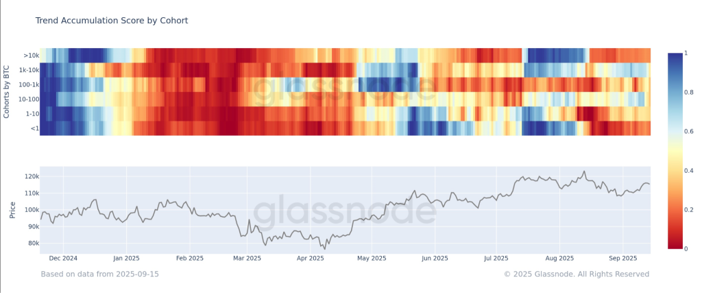 bitcoin price 