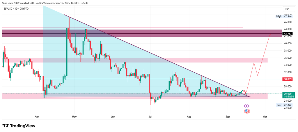 Bitcoin SV Price Overview