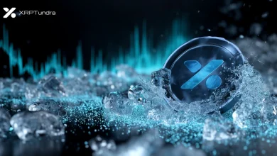 xrp-tundra (4)