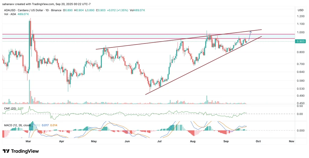 cardano price