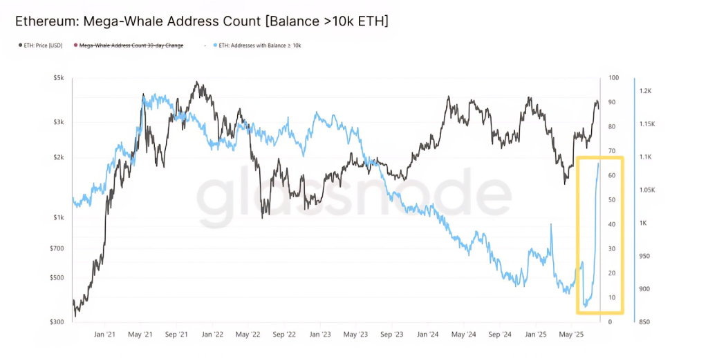 Ethereum Whales