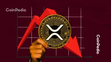 XRP Price Struggles Below $3, Top Traders Warn of Possible Dip