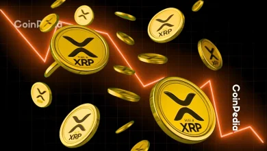 Why Is XRP Price Dropping Despite Spot ETF Record on Day One