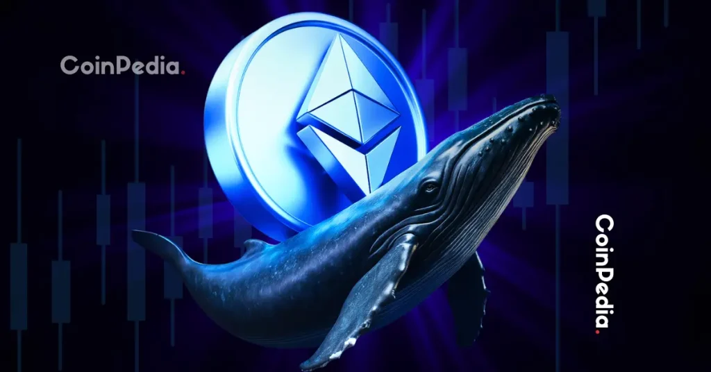 Ethereum Whales Double Holdings $2.5B Accumulation Sparks Supply Shock