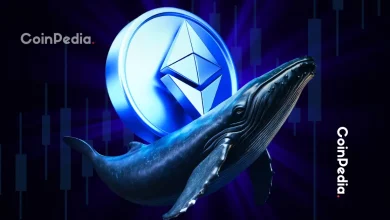 Ethereum Whales Double Holdings $2.5B Accumulation Sparks Supply Shock