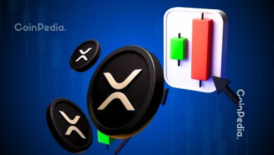 Why XRP Price Is Down Today Ripple Lawyer Bill Morgan Reveals the Truth