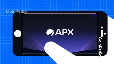 Why APX Finance (APX) Token Rises Over 120%