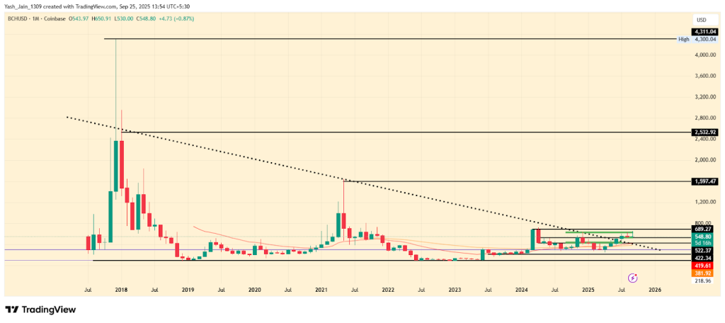 BCH Price Prediction 2025