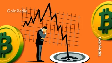 How Low Can Bitcoin Price Go