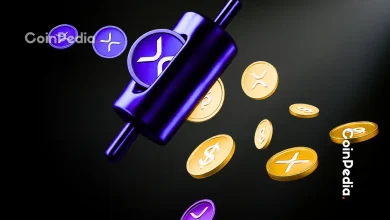 XRP News Today Black Swan Capitalist Says XRP Can Solve Global Debt Crisis