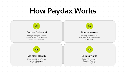 how-paydax-works