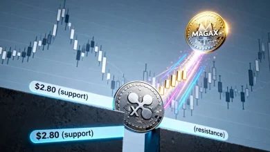 magax (1)