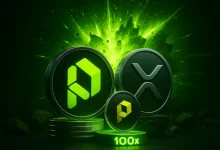 paydax (1)