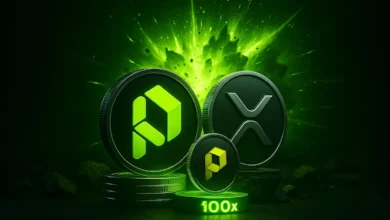 paydax (1)