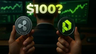 paydax-100