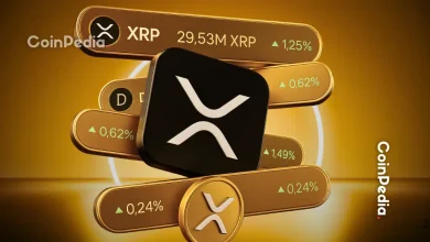 XRP Price To Hit $20-$30 by 2026, Says Top Analyst