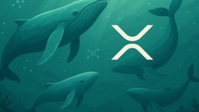 Remittix