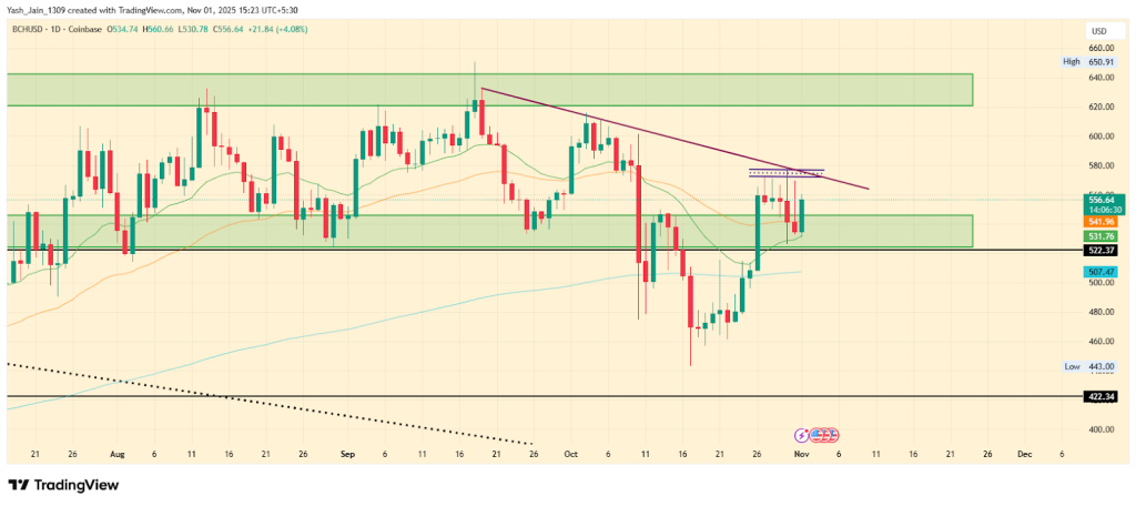 Bitcoin Cash Price Target November 2025