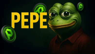 pepe-paydax