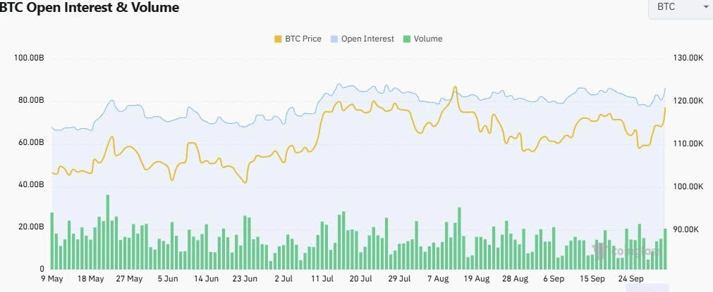 BTC OI 