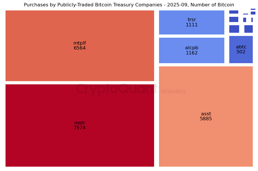 Bitcoin Purchase by companies