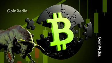Bitcoin Bull Run To Hit on October 27th, Mirroring Historic Cycle